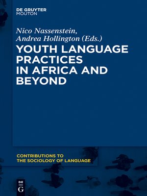 cover image of Youth Language Practices in Africa and Beyond